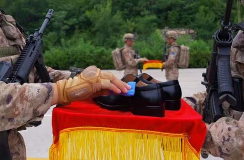 战车内的新皮鞋