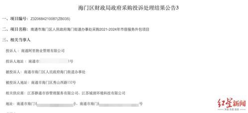 美国前官员发言