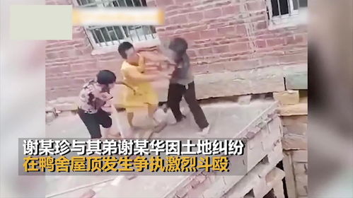 兄弟俩第三次屋顶看阅兵