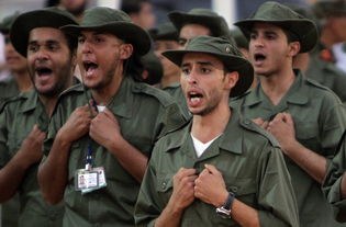 各界人士参与阅兵活动场景