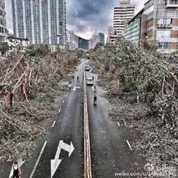 警惕！第16号台风塔巴生成，多地将迎暴雨大风