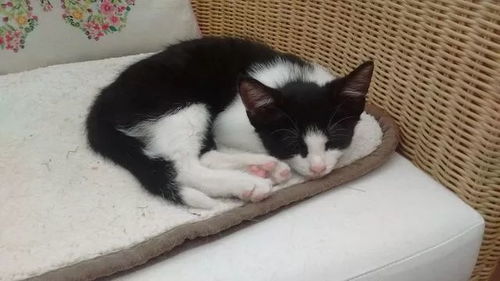 阎鹤祥花46块7买岛？背后故事真暖心！