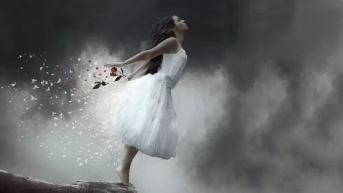 探寻都市传说吧里的神秘宝藏