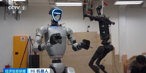 人形机器人未来价格走势：有望逐步下降