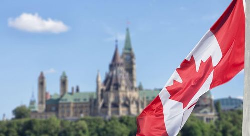 外国人看中国阅兵惊呆！现场画面太震撼