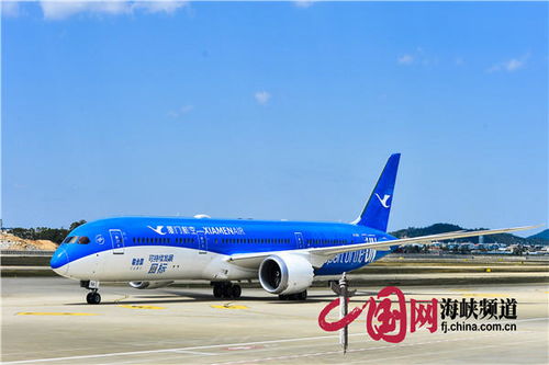 惊魂一刻！厦航飞机起飞滑行时急刹，乘客尖叫不断