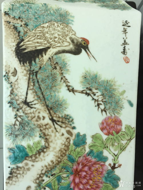 专家认真鉴定雀骨的场景