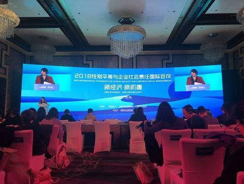 国际会议现场照片