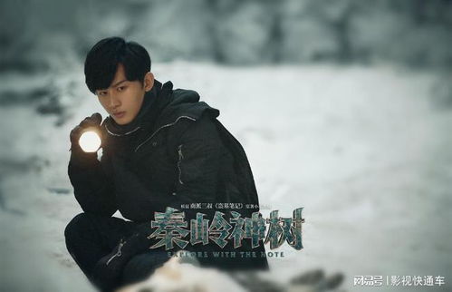 成毅《赴山海》首日惊人！30万云包场背后的故事