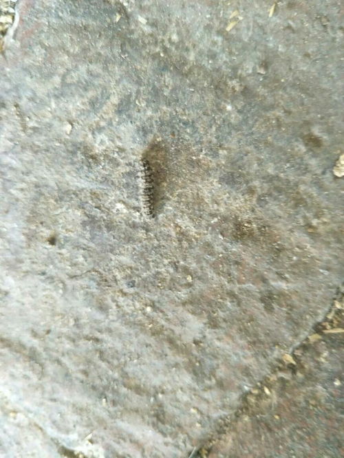 宝妈花巨资住月子中心竟遇虫爬身噩梦