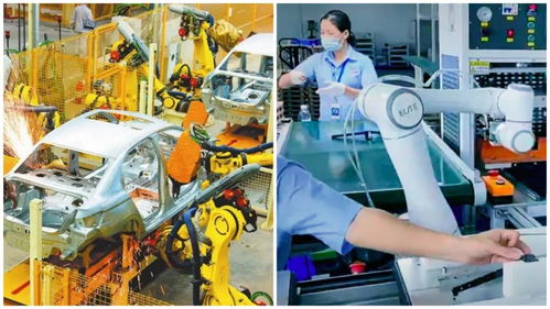 AI时代下的未来职业发展之道