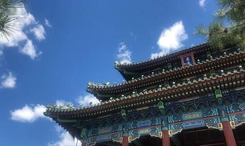 王婧嫱在万春亭拍摄