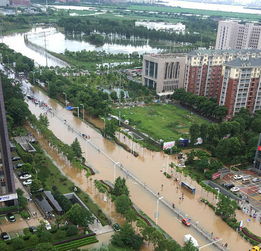 警惕！网友编造重庆洪水谣言被惩处