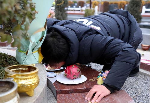 年轻人为何爱给古人扫墓？背后故事超暖心！