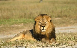 外交部强硬警告菲律宾：别再做跳梁小丑！