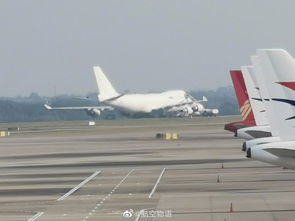 惊魂时刻！厦门航空航班起飞滑行急刹，乘客尖叫不断