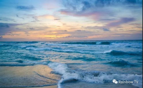 赴山海爆炸式宣发背后的惊人内幕！