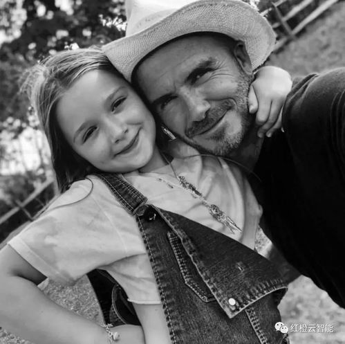 泰国新总理阿努廷的粤语情结