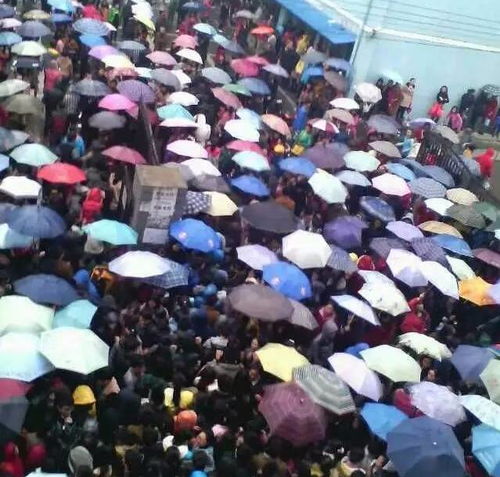 净网行动：网警公布的那些震撼网络谣言案例