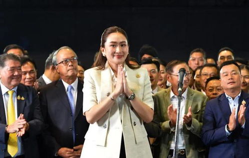 佩通坦被裁决违宪解除总理职务后的表态