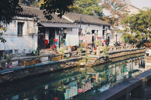 苏州VS盐城，谁才是心中的宝藏城市？