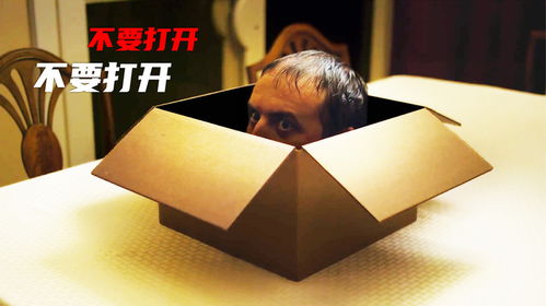 跑腿小哥遇惊魂一刻：送的是活鳄鱼！