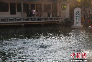 趵突泉：水深3米且有淤泥，游玩需谨慎！