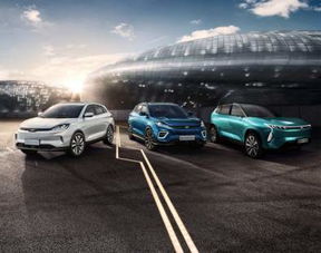 工人在组装威马汽车