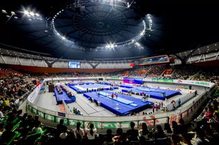 解读体育产业‘31号文’：区域协同下的产业发展新机遇