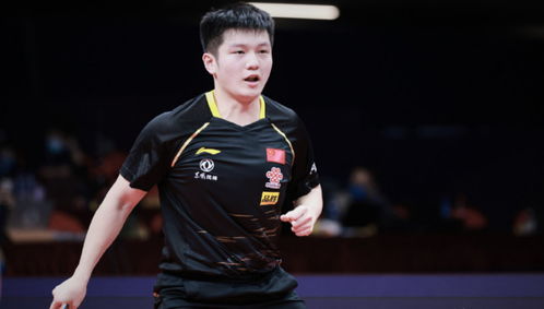 樊振东获胜后的庆祝画面