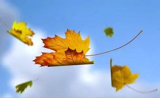 南北天气大不同，“南北两重天”现象持续上演