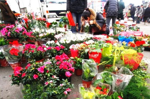 工作后的我：终于明白苹果为何是最棒的水果