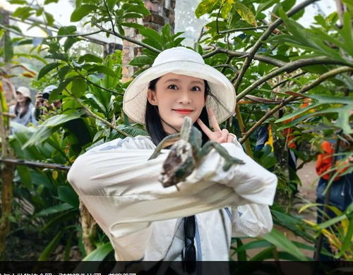 张晚意李沁嫂子开门我是我哥，背后故事真不少！