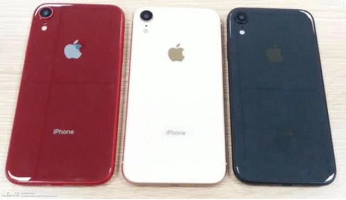 iPhone17国行预估价曝光：不同版本价格差异大，你买得起吗？