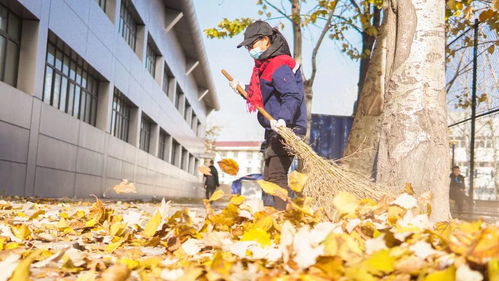 震惊！近20人假冒国安闯入公园挖地寻宝，背后真相令人咋舌