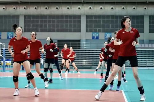 中国女排训练画面