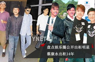 娱乐圈明星群体