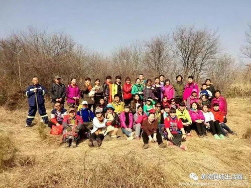 惊天闹剧！男子轻信传言冒充国安挖宝藏