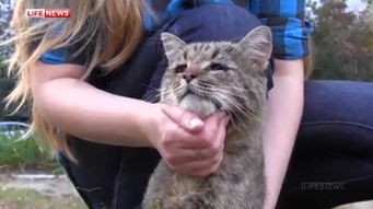 香港中文大学博士丧母后，用论文揭示44个丧亲年轻人的心声