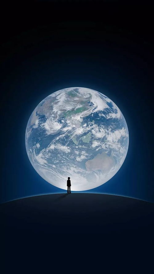 树梢作前景血月照片