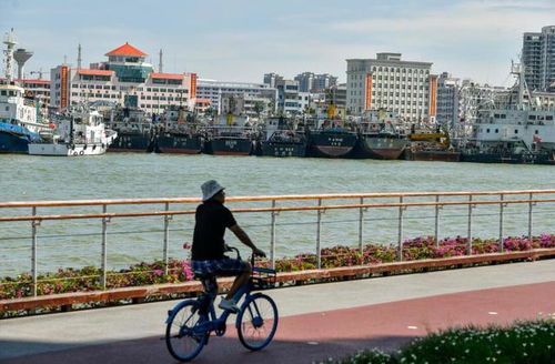 海南受台风影响的街景