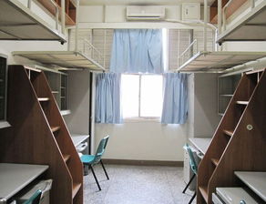 湖南某高校学生宿舍床铺安全隐患引关注！