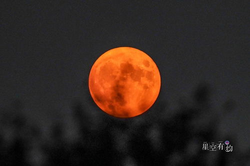 “红月亮”即将登场，超多精彩看点不容错过