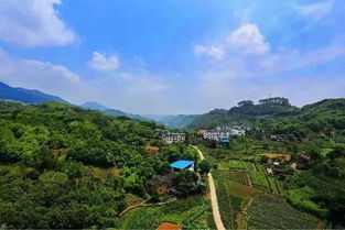 重庆长江段水位下降，600年石佛现身引游客祈福