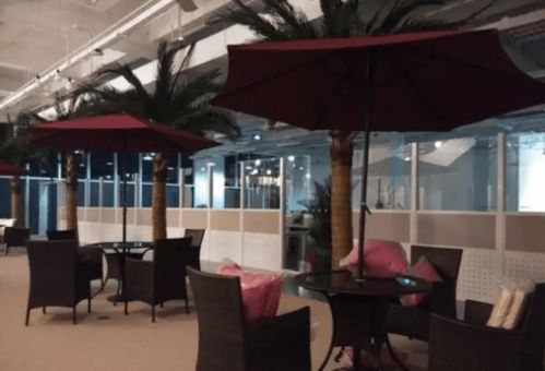 小米加码机器人赛道！投资国华智能，瞄准关节核心技术