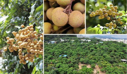 白露时节必吃的六种美食，错过可惜！