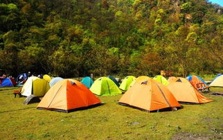 学生们整齐排列的帐篷群景象