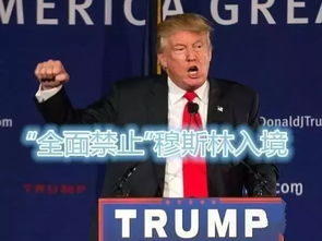 特朗普发表言论场景