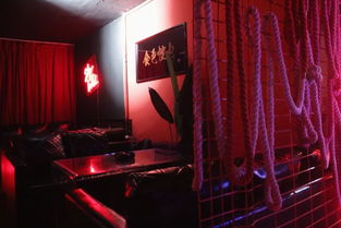 《保险推理社》：一场惊心动魄的悬疑之旅