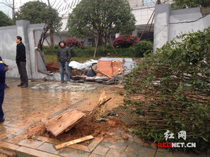 考科目二竟把考场围墙撞塌了！